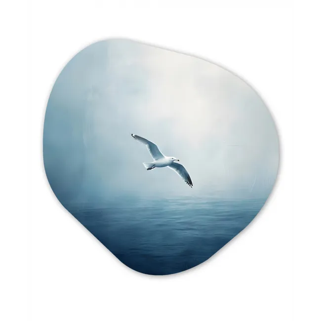 Meeuw - Wit - Zee - Mistig Wandcirkel Organisch Forex 3mm middel -3d