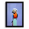 Papegaai - Koksmuts - Vogel - Leuk fotolijst zwart zonder passe partout klein -3d