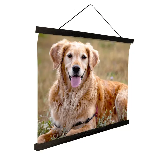 Foto auf Schulwandkarte