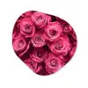 Rozen - Pink - Bloem Wandcirkel Organisch Forex 3mm klein -3d