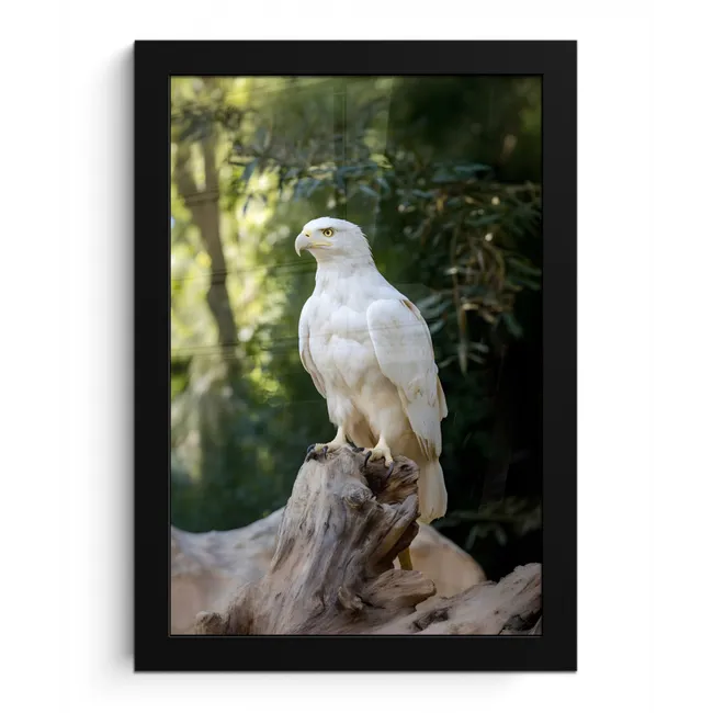 Arend - Hout - Wit - Planten fotolijst zwart zonder passe partout klein -3d