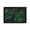 Monstera - Bladeren - Tropisch - Jungle fotolijst zwart zonder passe partout klein -3d