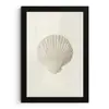Schelp - Minimalistisch - Wit fotolijst zwart zonder passe partout klein -3d