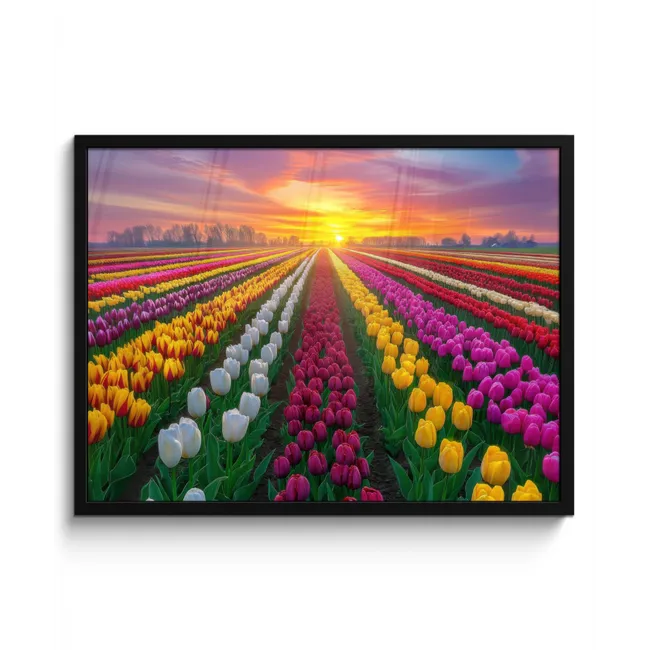 Tulpenveld - Zonsondergang - Kleurrijk fotolijst zwart zonder passe partout middel -3d