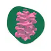 Abstract - Pink - Lijnen - Groen Wandcirkel Organisch Forex 3mm middel -3d