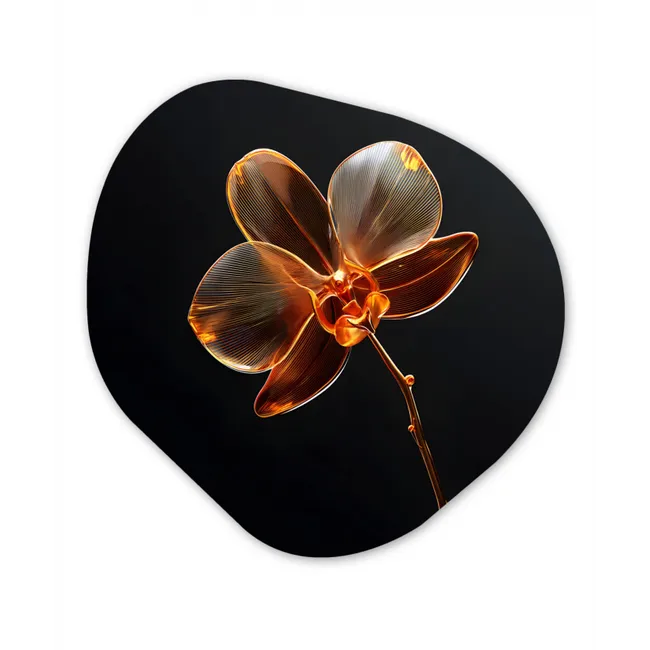 Orchidee - Doorzichtig - Bloem Wandcirkel Organisch Forex 3mm klein -3d