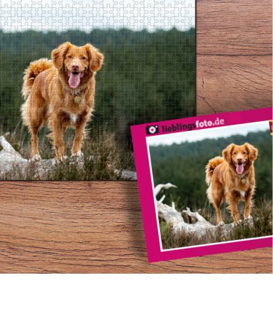 Puzzle mit schachtel