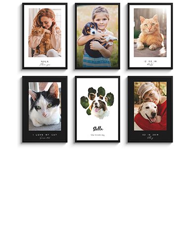 Personalisierte poster Hund & Katze