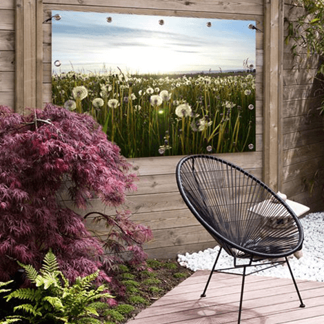 Foto auf Gartenposter garten