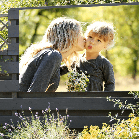 Photo on garden poster 8