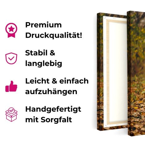 leinwand beautyshot 2