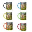 Wit beeld kleuren thumbnail