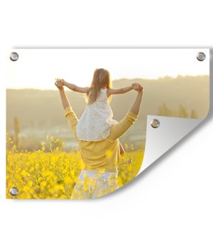 Foto auf Gartenposter