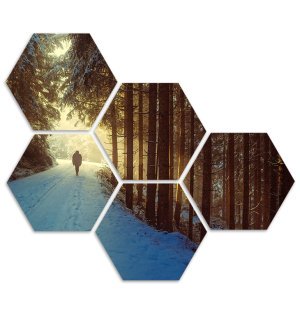 Foto auf Aluminium 60x40 cm
