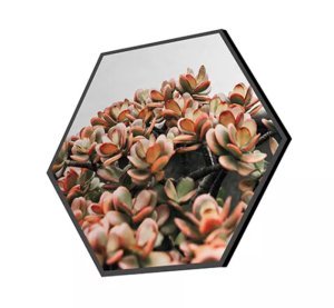 Foto auf Aluminium 50x50 cm