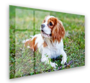 Foto auf Aluminium 50x50 cm