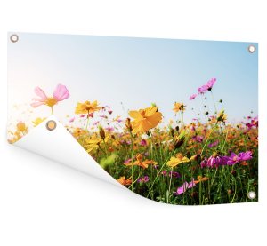 Foto auf Aluminium 50x50 cm