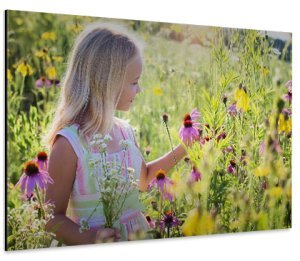 Foto auf Aluminium 100x70 cm