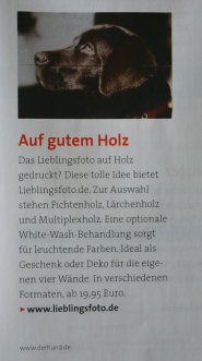 Hundefoto auf Holz