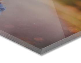 Foto auf Acrylglas Preise