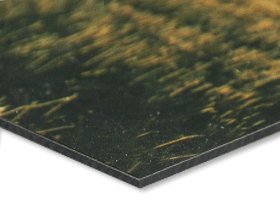 Foto auf Aluminium Preise