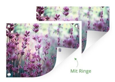 Foto auf gartenposter mit Ringe