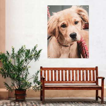 Gartenposter