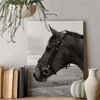 Foto auf Leinwand
