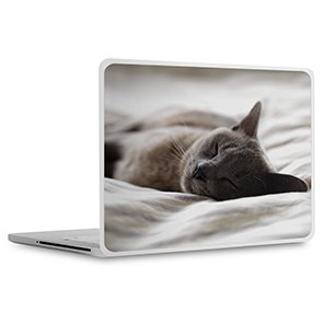 Laptop-Aufkleber Preise