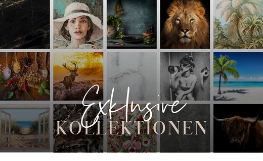 Collectie producten
