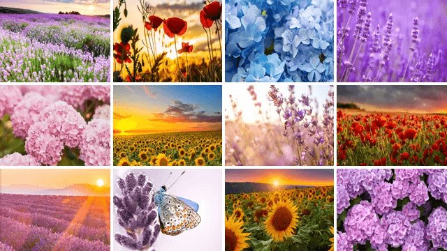 Leinwand Blumen