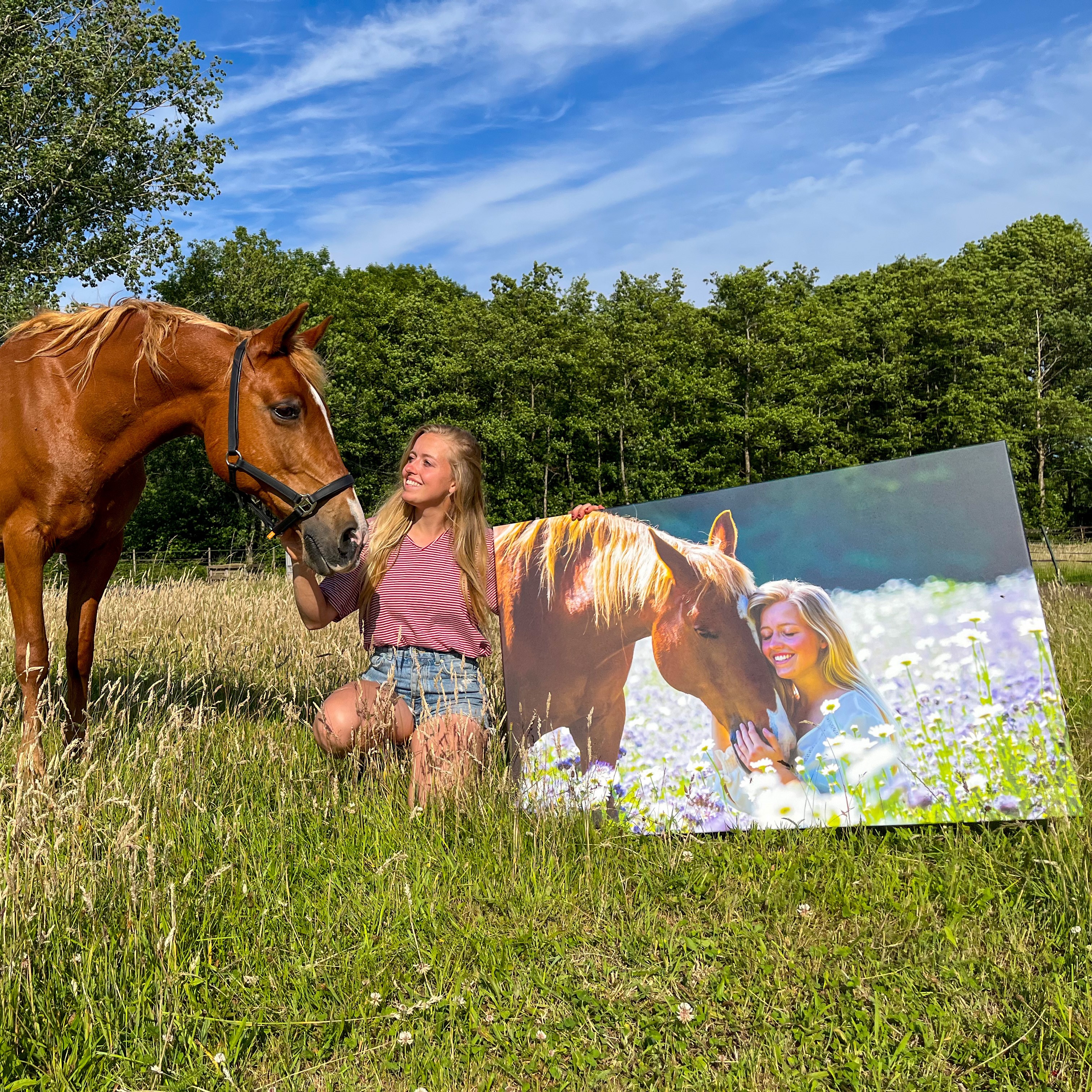 Foto auf Leinwand