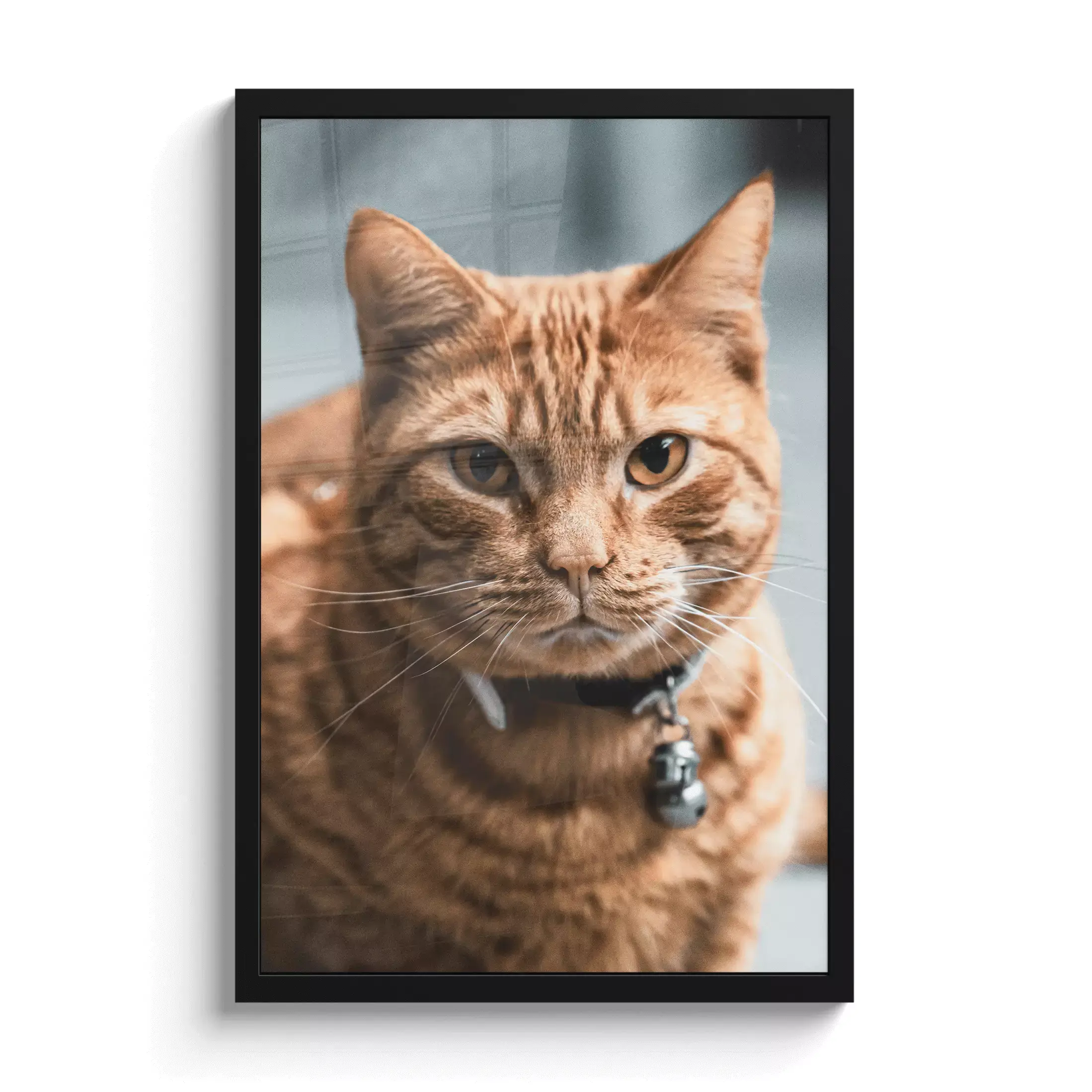 Vollbildfoto