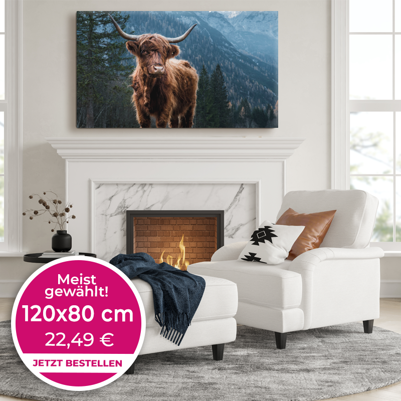 Foto auf Leinwand 120x80cm