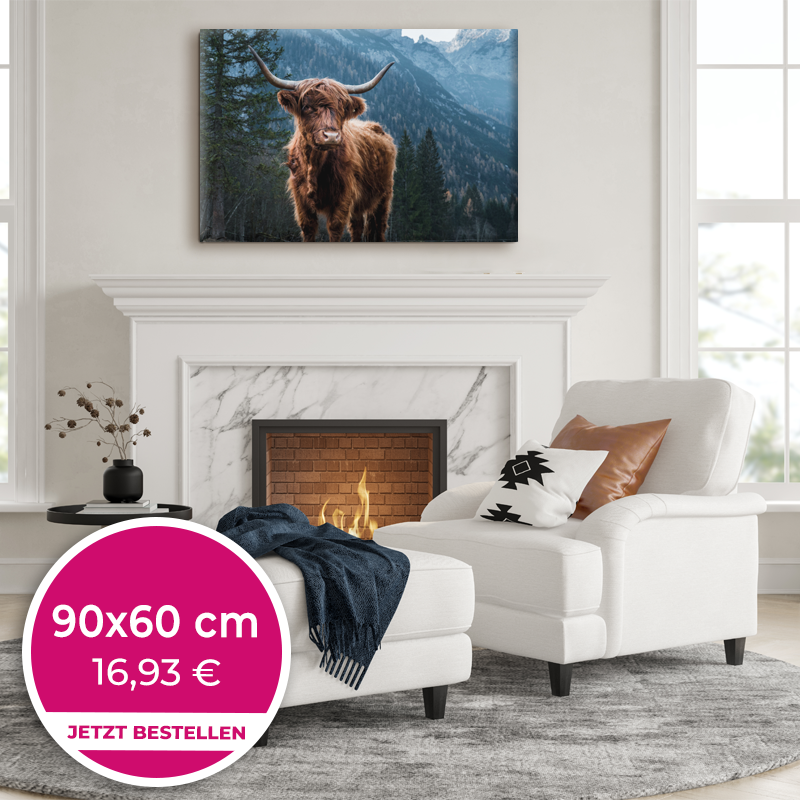 Foto auf Leinwand 90x60cm