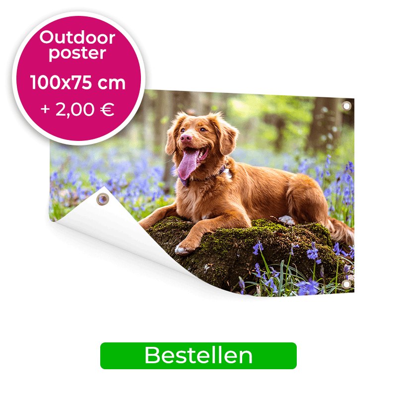 Tuinposter 100x75