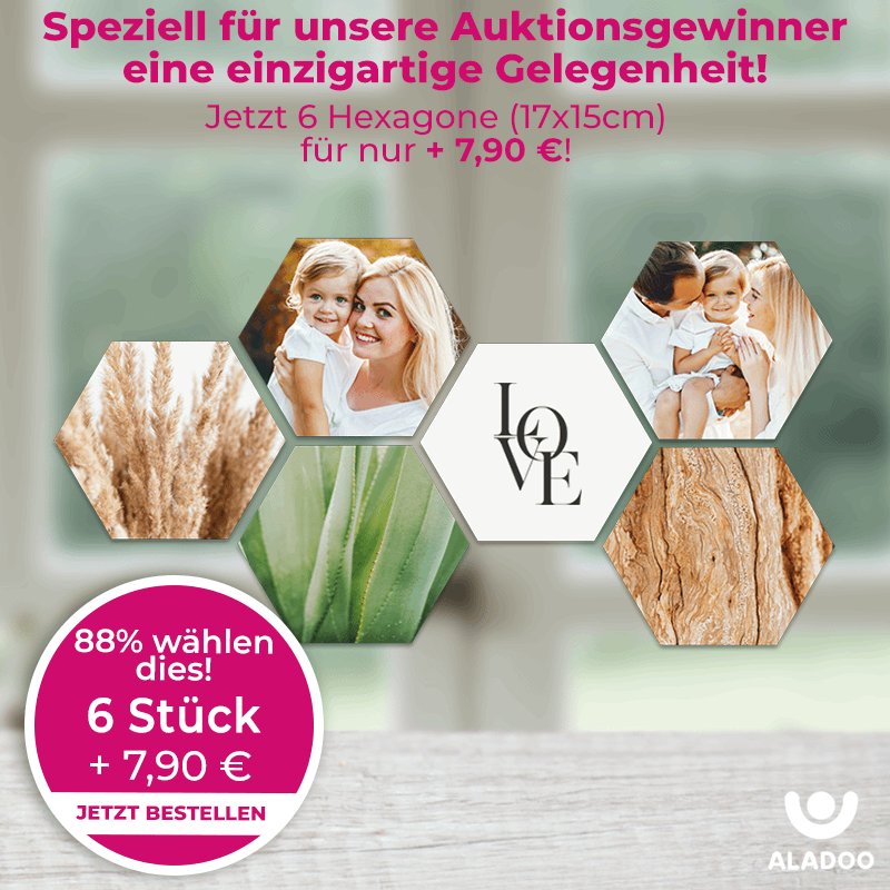 Hexagon 6 stuks