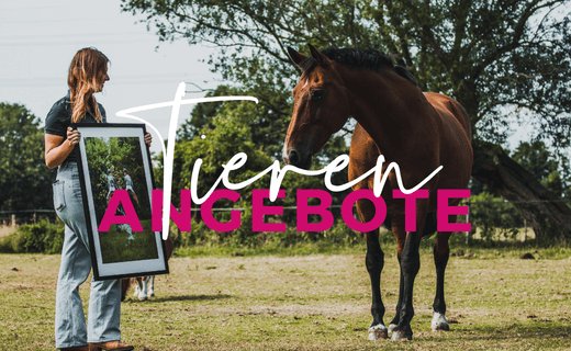 Tag der Tiere