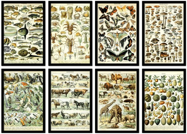 Poster mit Rahmen vintage