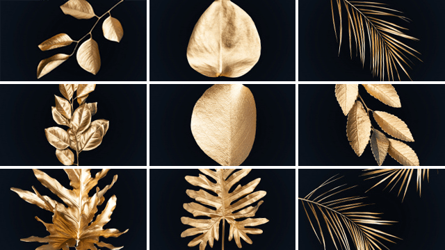 Inductie beschermers met golden leaves