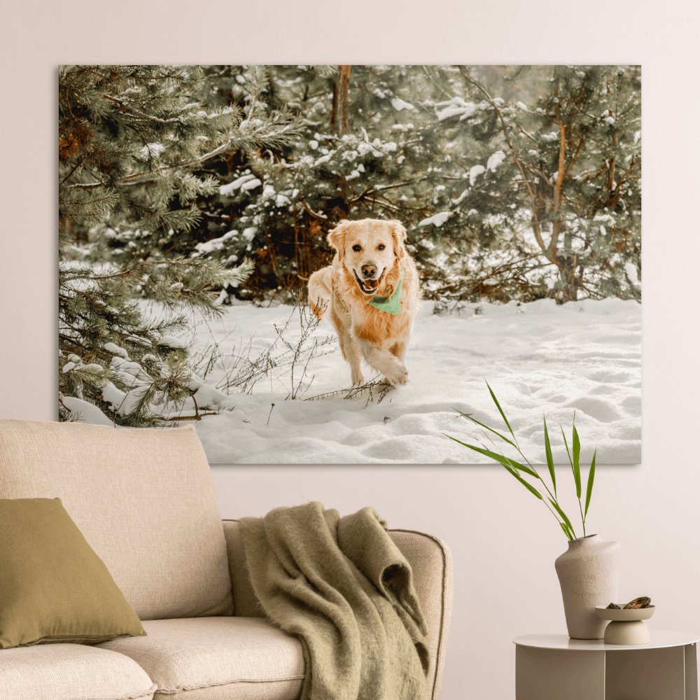 Foto auf Aluminium