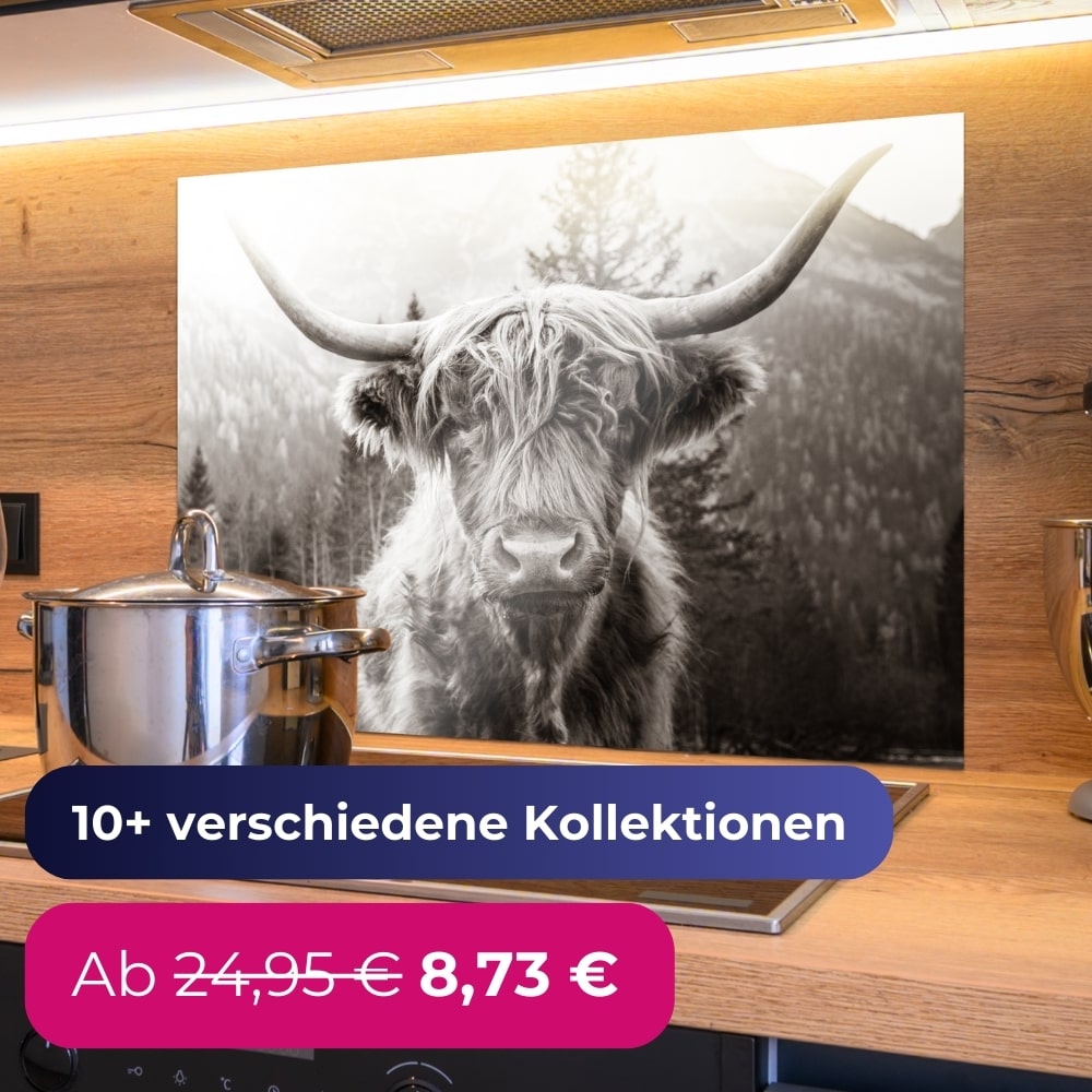 Spritzschutz Küche