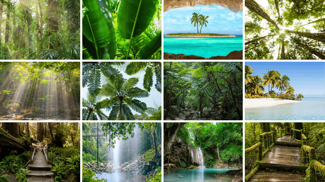 Gartenposter mit tropische bilder