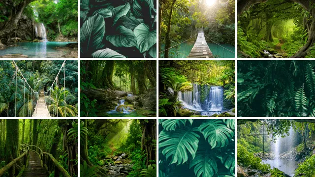 Gartenposter Dschungel