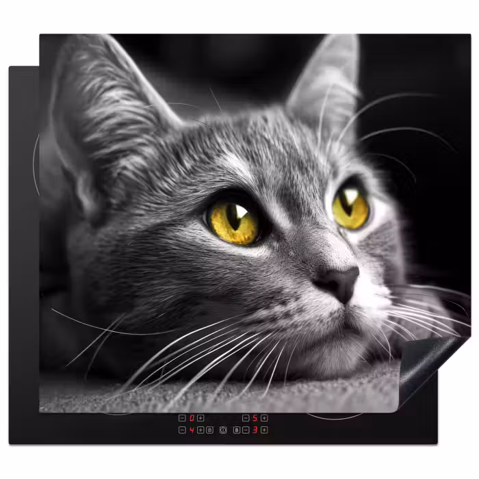 Herdabdeckplatte - Katze - Grau - Tiere - Katze