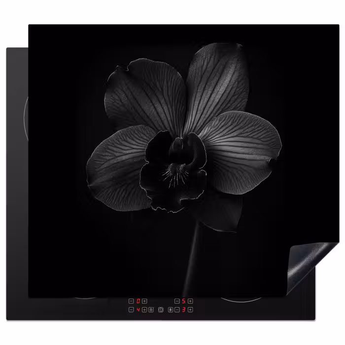 Herdabdeckplatte - Schwarz - Blume - Orchidee