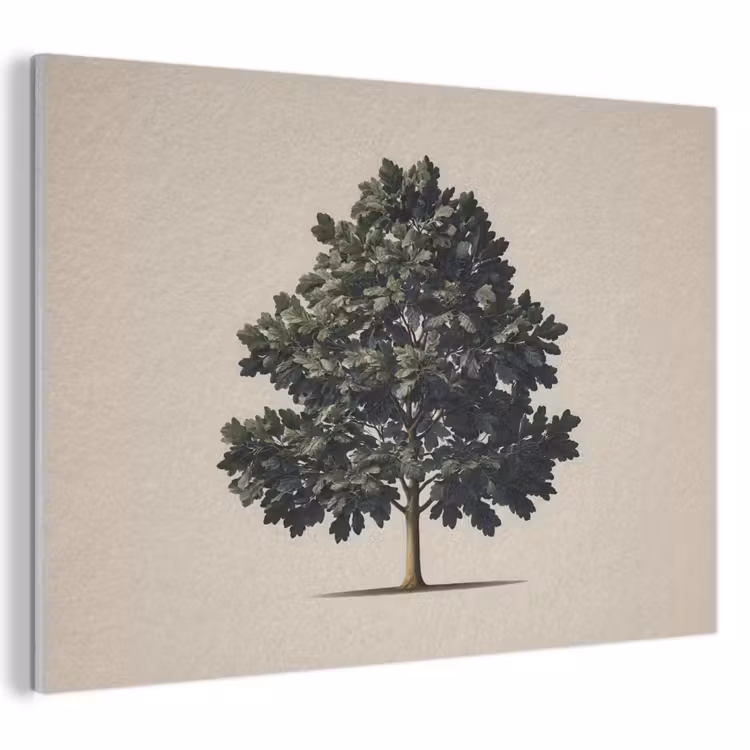 Akustikbild - Eichenbaum - Schatten - Glatt — 1
