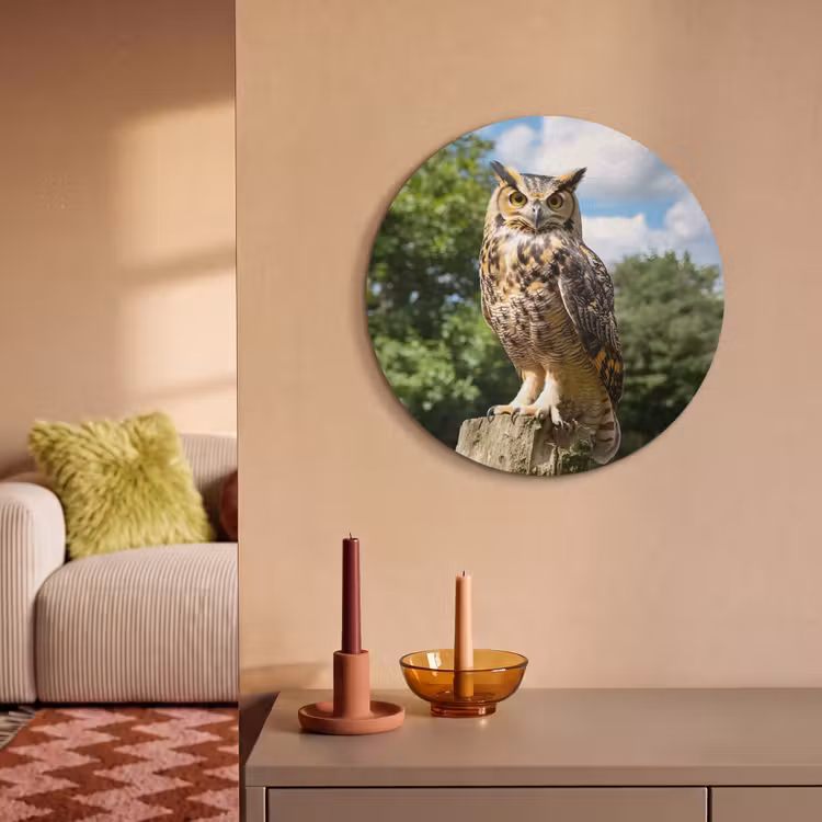 Akustikbild rund - Eule - Baumstamm - Wald - Himmel — 2