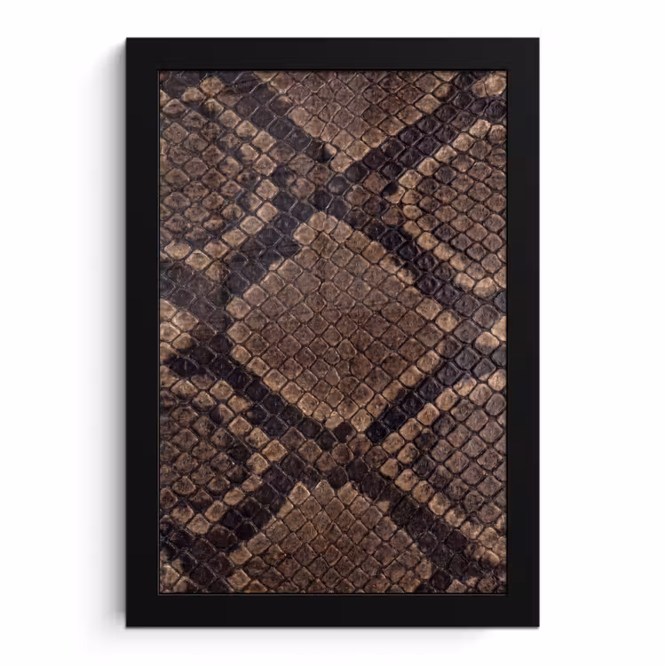 Bilder mit Rahmen - Python - Schuppen - Bronze — 1