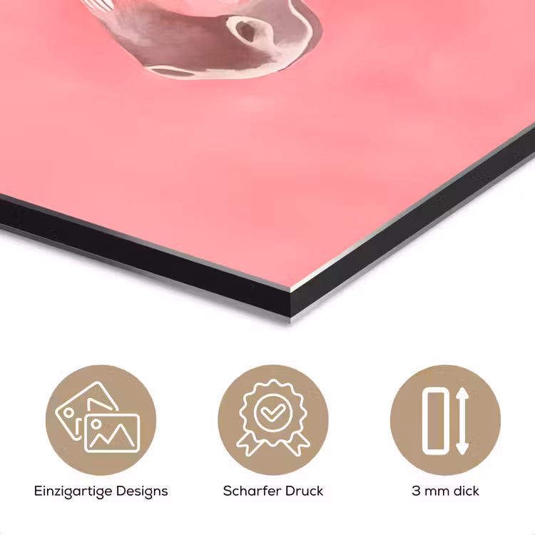 Alu-Dibond-Bild - Zebra - Rosa - Farbe — 7